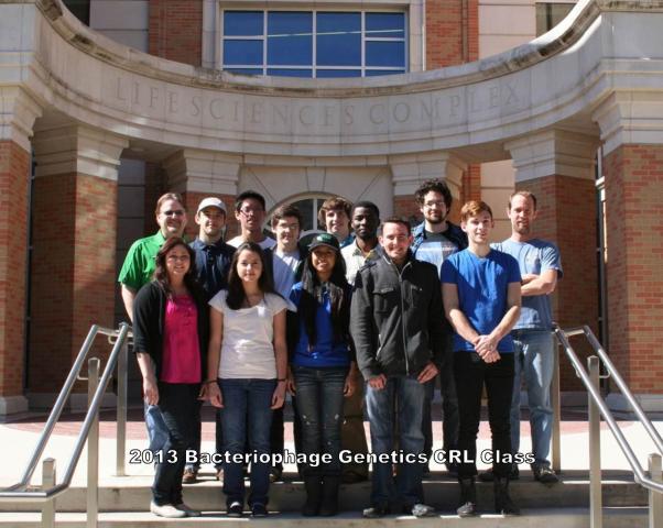 Spring 2013 Bacteriophage Genetics Class Photo