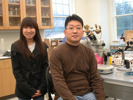 Ngoc Loan Pham worked with research mentors Seongcheol Kim